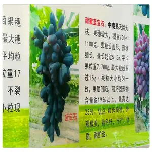 �Ҵ����п������������� ��÷Ů�������� ���� ������������