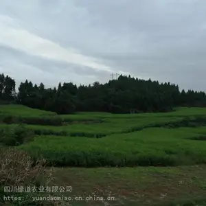 �ٲ��������� ��������������Ʒ�ּ۸�