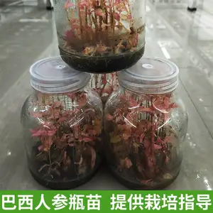 �����˲�ѱ���� ,�����˲μ��ɼ��� ���ϴ����