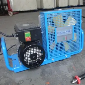 MZS-30�Զ������� �Ȼ�����Ӧ�� ���������������