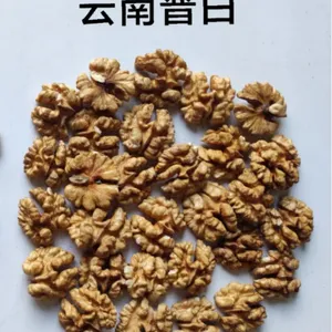 云南蝴蝶仁白头路核桃仁 可商检可出口 散装干果