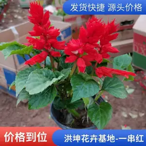 һ���� �������� �����칤�̻��� ���� ��ڻ��� �ڻ�����