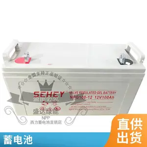 SEHEY��������NPG/SH120-12 12V120AHֱ���� EPS UPS��Դ ����ר��