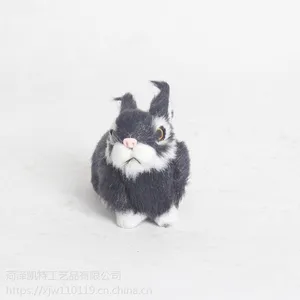 ����С���������ģ�ͼҾ�װ�ι�����ż��������
