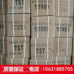 河北鼎通厂家直销TST桥梁伸缩缝量大从优