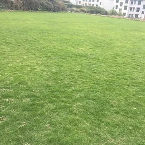 ��������Ƥ �������ݱ����̻��õİ�����Ľ���ƺ***�� ***
