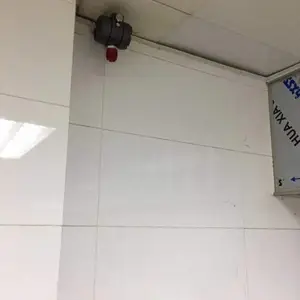 ����ȼ����������