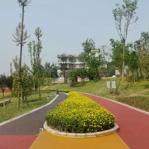���ϲ�ɫ͸ˮ������רҵʩ���Ŷ�