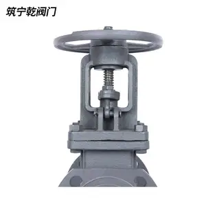 �ӱ�����Ǭ ����բ�� Z41-16C ̼�ַ���բ��dn50 ����