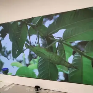 չ��P2.5ȫ��LED��������ʾЧ�� P2.5LED������װ�۸�