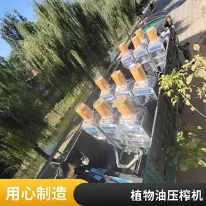 机械全自动榨油机 小型中型支持定制 简单易学 多功能 坚固耐用