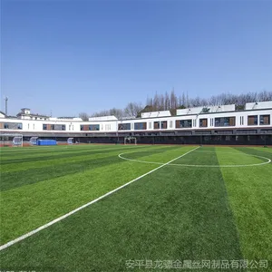 ��׼ٷ���� �����ֳ���������� ��ѧ�ٳ��ٲ�ƺ