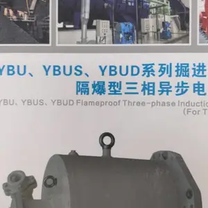 YBU YBUS YBUDϵ�о�����ø����������첽�綯�� ����������������