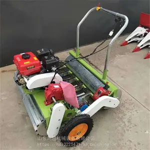 С�����߲˾����� ������Ͳ��Ѿ����� ��˲��ֻ�
