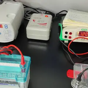 蛋白质鉴定服务 样品制备 蛋白质分离纯化 质量生物信息学分析