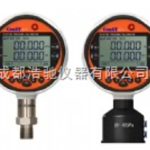 智能数字压力校验仪 CST273