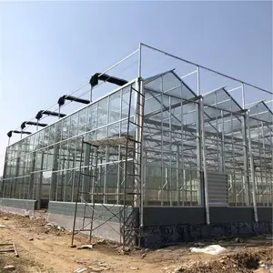 ���ϲ������Ҵ���Ǽ� ������̬�������Ҵ��ﲣ�����Ҷ���Ǯ ̩���������Ҵ������