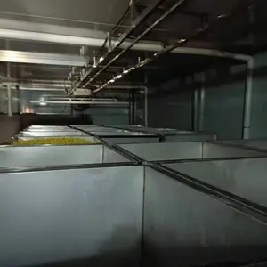 大型豆芽厂家日产6000斤豆芽生产线设备