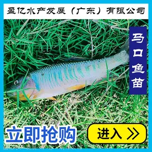 �����������糡���� ���������������� �����ȫ
