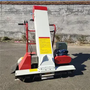 �չ�װ���� �³�����ʽ˫�������չȻ� ɹ��������