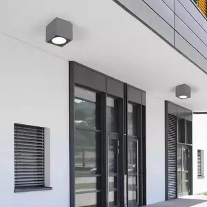Բ������COB��װ�컨����� ��ˮ��װͲ��ͥԺ�� �������ĵƾ�