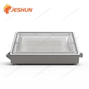 100W�ڵ� ¶̨ǽ�ǵ� 100WLEDǽ�ڵ���ʽ�ڵ� ����ת����
