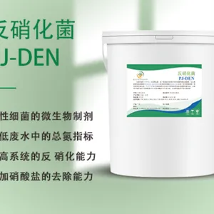 反硝化菌PJ-DEN