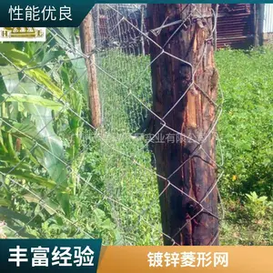 养殖专用菱形网 铁丝护栏网 防腐处理 现货供应