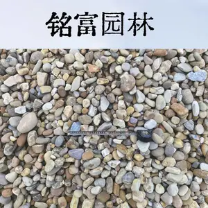 鹅卵石主要产自英 德市，哪 里的鹅卵石比较标准，广 东漂亮鹅卵石