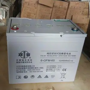 双登蓄电池6-GFM-65 12V65AH代理商