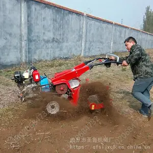 ���Ͷ๦����԰������ �����ݮ��ֲ��¢�� ɽ����ֲ����������