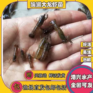 ���޴���Ϻ�������� 2-4���׵�ˮϺ�� ��ֳʳ�ð��޴���ϺϺ��۸� ����ˮ���ʻ��