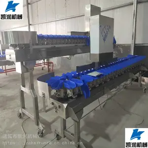 托盘型全自动分选机 不锈钢物品分选级设备流水线
