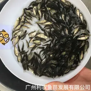 �п�5��3������������ ������Գ�һ�� ȫ������ �ͺ����