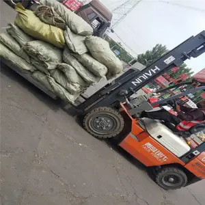 �������̽�����ר�� ������� ֱ��