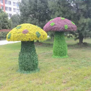 �����Ͼ�Ģ��������ֲ���� �̵���Ʒ�ڼ� ŵ������