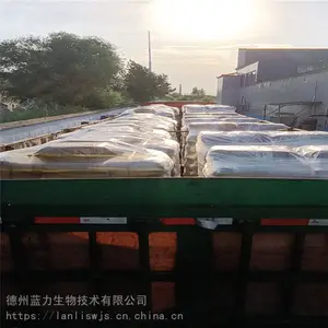 三明市 鱼胶原蛋白肽厂家供应 500道小分子