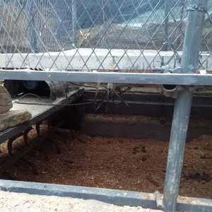 ���汦���ʹ����Ϸ��ͼ� ��̨���ʹ����� ������ϳ����ֽ��������� �������ʹ�����