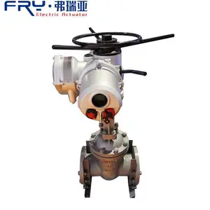 Z941Y-25 PN2.5 DN250 �и�ѹ����բ�� ���ܵ綯���Ʒ� ���ת�綯��