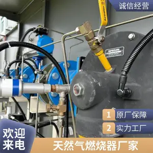 烧嘴 天然气液化气燃烧器 柴油烧嘴 支持定制 智岱鼎燃烧