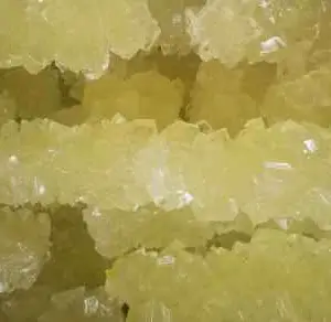 多晶体菊花冰糖***