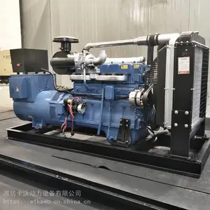 Ϋ��100kw���ͷ������ ȫͭ��ˢ����� ��������