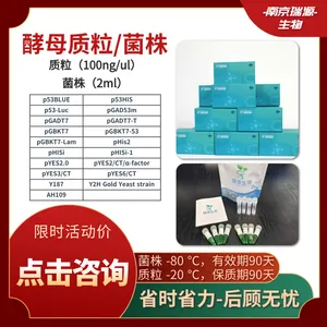 酵母质粒_菌株试剂盒-高效-种类齐全-南京瑞源生物