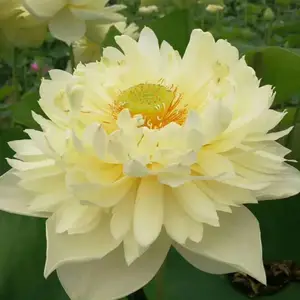 ���������ɻ��� �ɻ����� ����ֱ�� �̻�ר���� �ͺ�Խ��