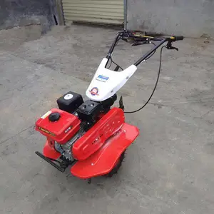������ֲ����΢���� ���ͺ������� б�µ�������