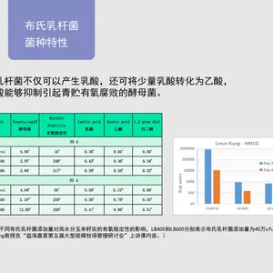 黑龙江内蒙古 饲草青贮黄贮发酵剂 布氏乳杆菌 异型发酵 提高有氧稳定性