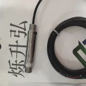 ��ӦSENEXɭ��ʿ������DG1300-GE-A-2-(-1-18BAR)/CD6