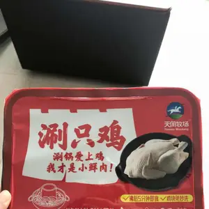 金超FH-4烧鸡锁鲜装气调包装机 卤煮鸡盒式真空封口机