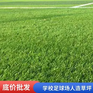 ���������ƺ ר�ý�ˮ TPE�������� ʯӢɰ ���Ӵ�