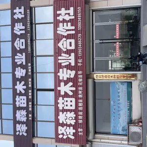 绛县泽森苗木种植专业合作社